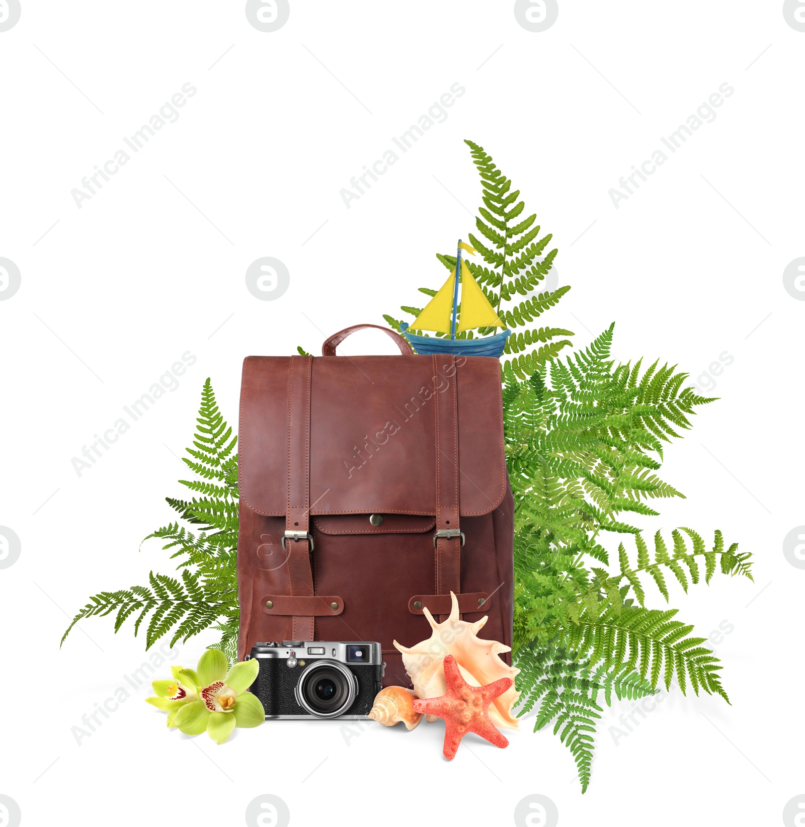 Image of Leather backpack, sea stars, seashells, camera, toy sailboat, tropical leaves and flowers on white background. Time to travel