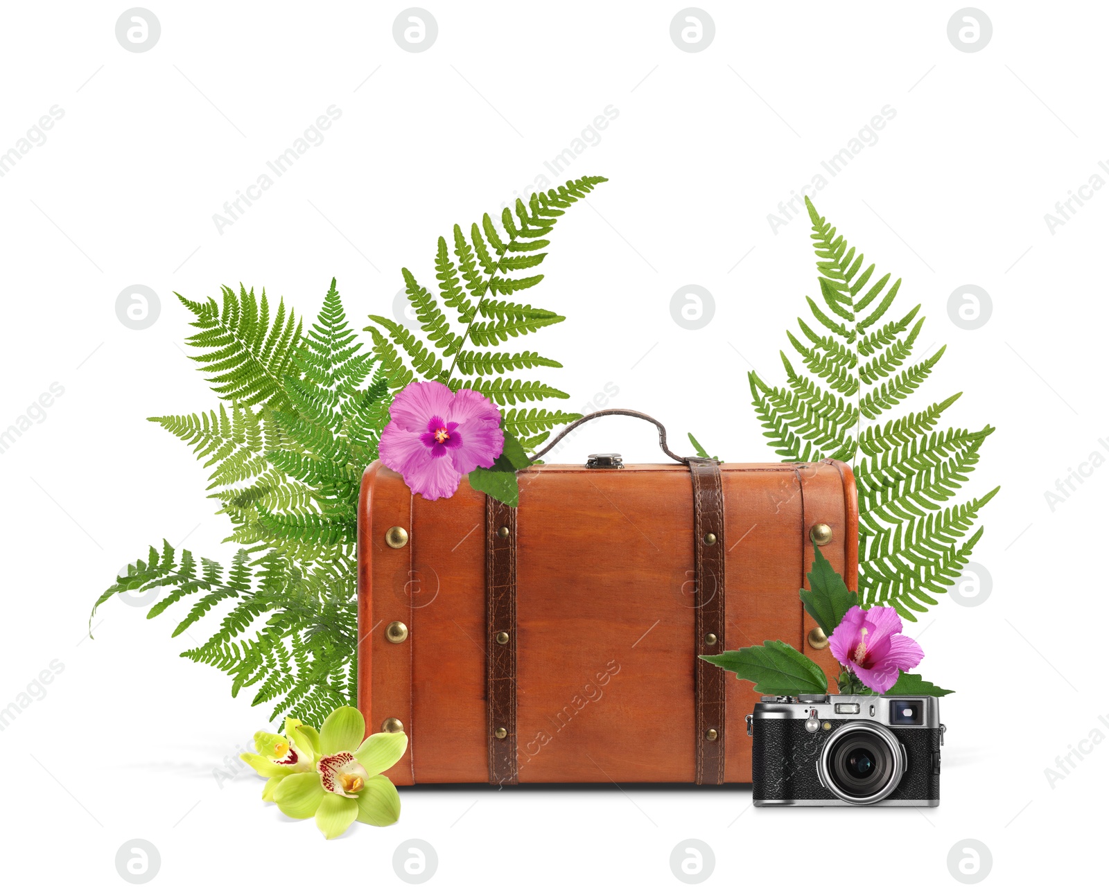 Image of Brown travel suitcase, camera, tropical leaves and flowers on white background