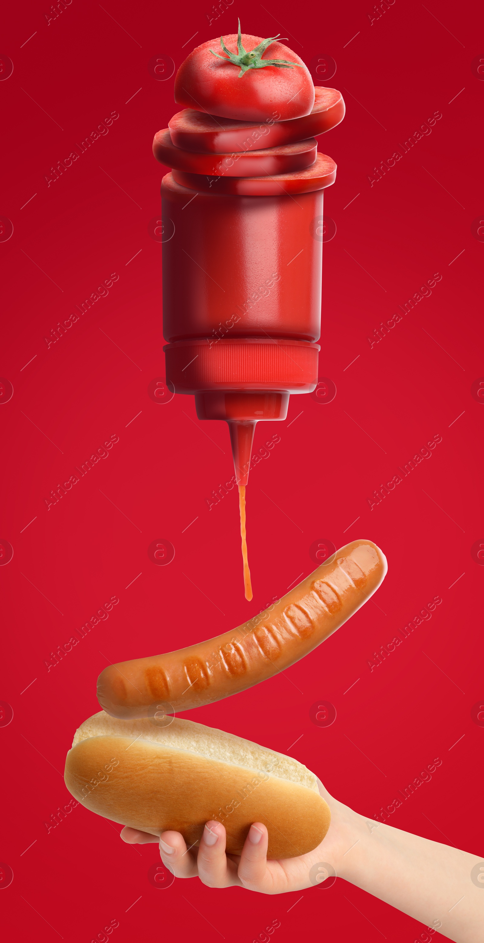 Image of Pouring ketchup on hot dog against red background, creative poster. Sliced tomato on top of bottle. Woman holding bun, closeup. Art collage