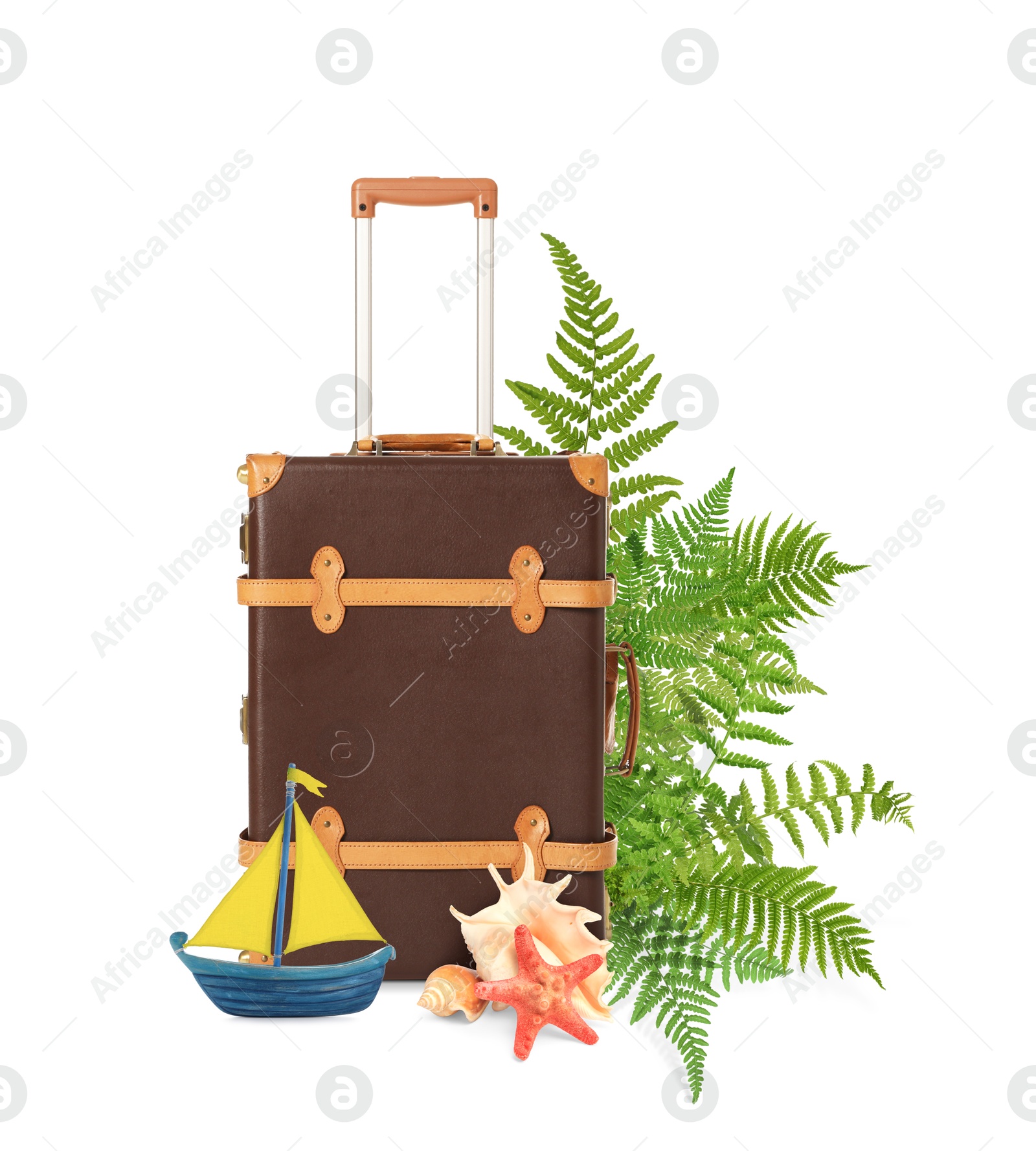 Image of Brown travel suitcase, tropical leaves, sea star, seashells and toy sailboat on white background