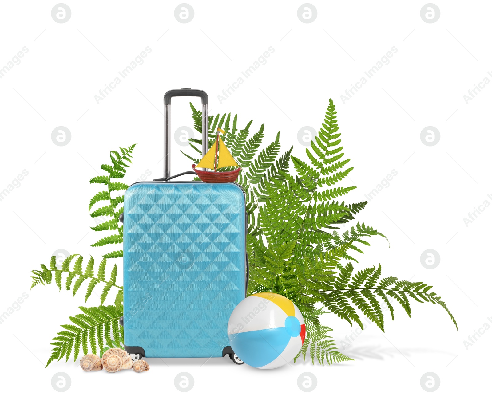 Image of Light blue travel suitcase, tropical leaves, beach ball, toy sailboat and seashells on white background