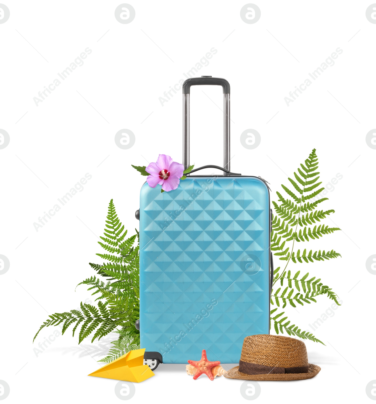 Image of Light blue travel suitcase, hat, paper plane, sea star, seashell, tropical leaves and flower on white background