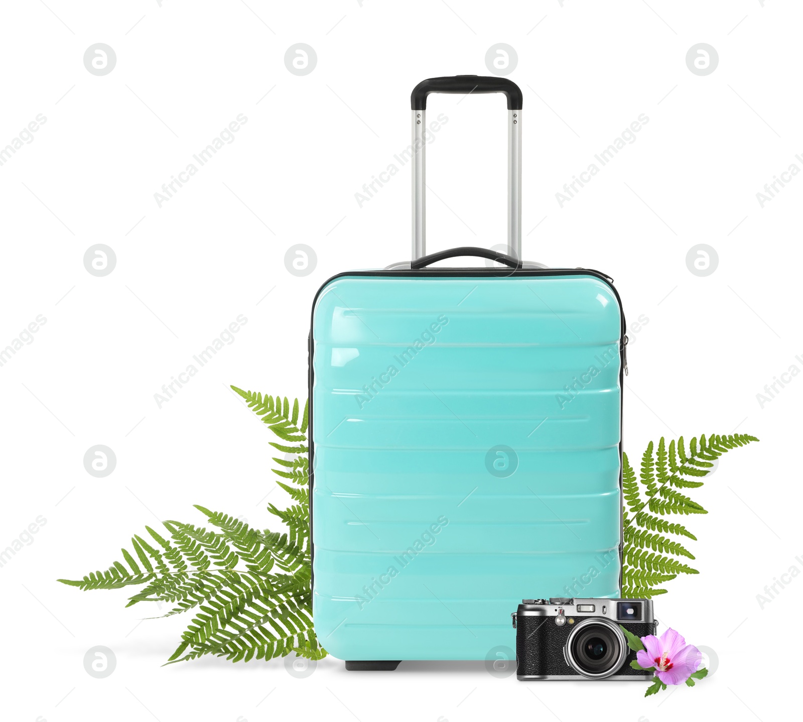 Image of Turquoise travel suitcase, camera, tropical leaves and flower on white background