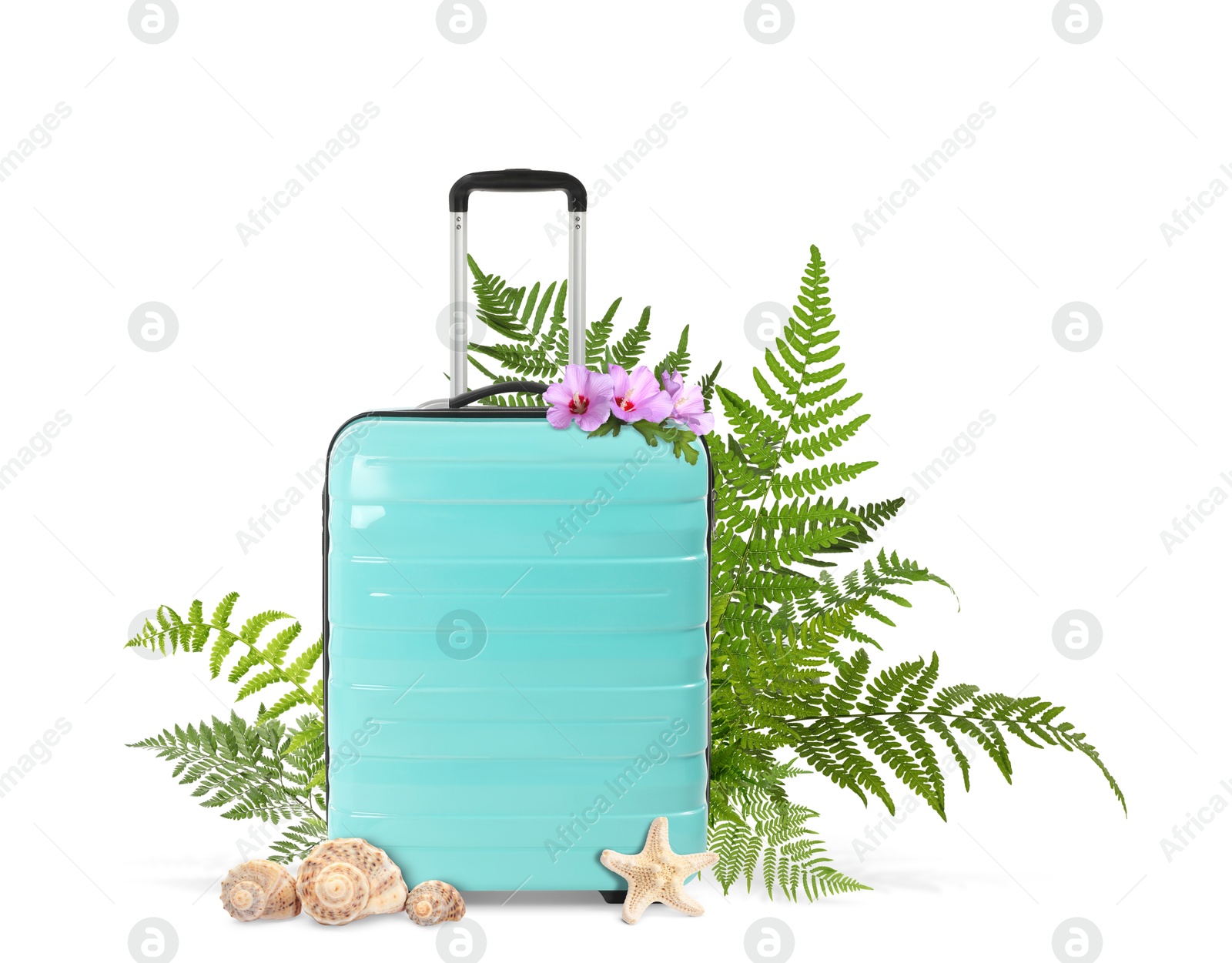 Image of Turquoise travel suitcase, seashells, sea star, tropical leaves and flowers on white background