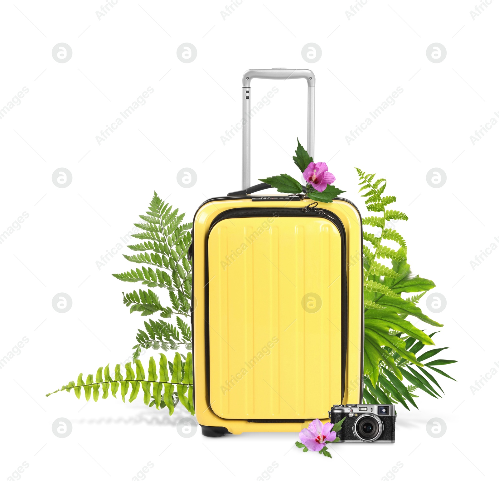 Image of Yellow travel suitcase, camera, tropical leaves and flowers on white background