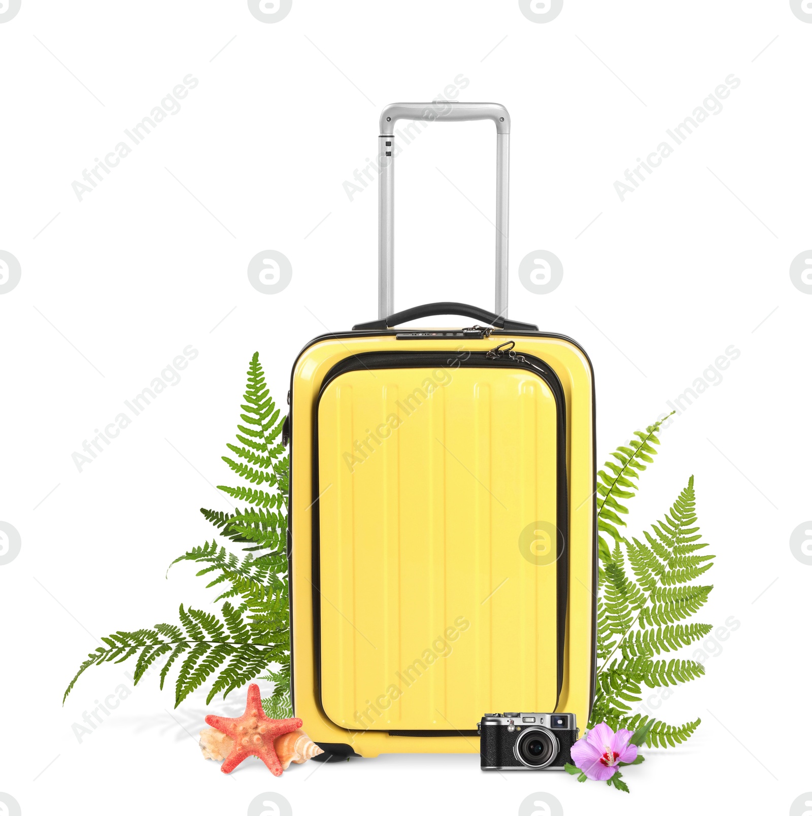 Image of Yellow travel suitcase, camera, sea star, seashell, tropical leaves and flower on white background