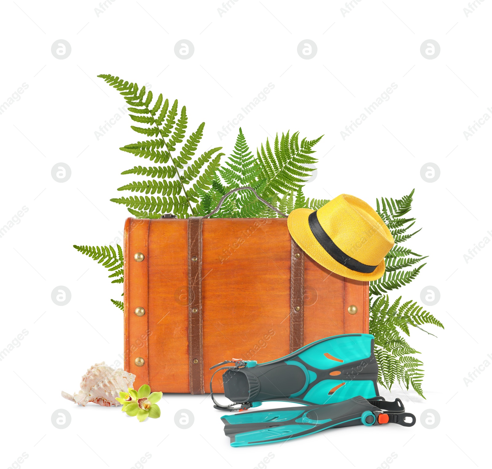 Image of Brown travel suitcase, hat, swim fins, seashell, tropical leaves and flower on white background