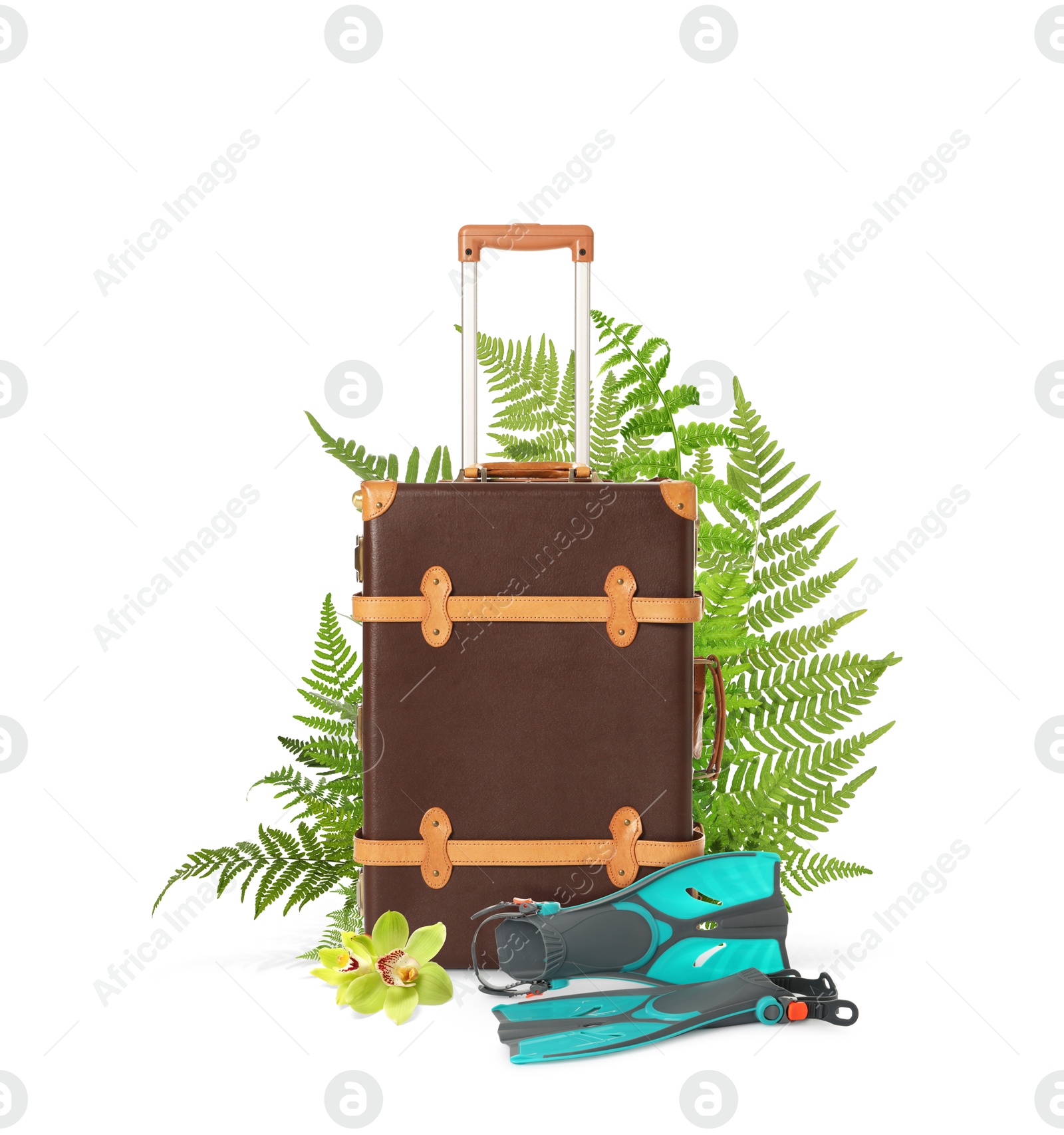 Image of Brown travel suitcase, swim fins, tropical leaves and flower on white background