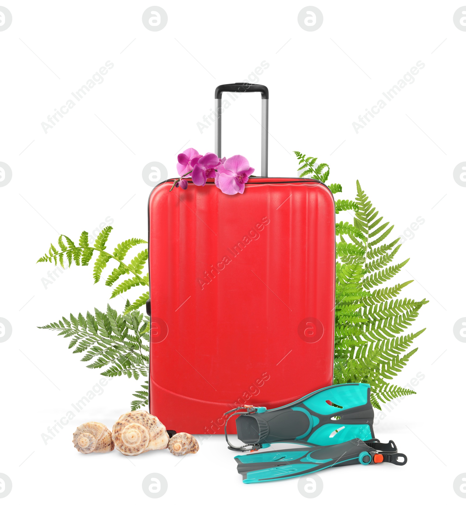 Image of Red travel suitcase, swim fins, seashells, tropical leaves and flowers on white background