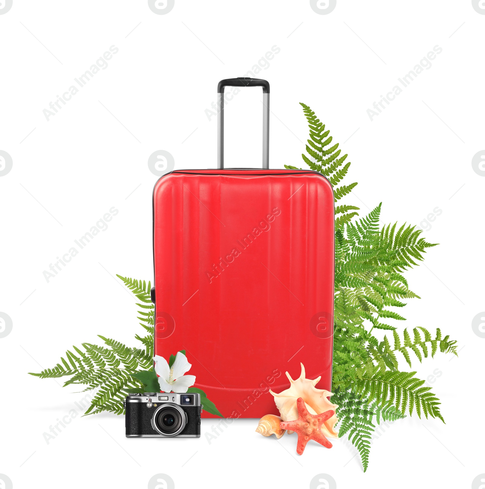 Image of Red travel suitcase, camera, sea star, seashells, tropical leaves and flower on white background