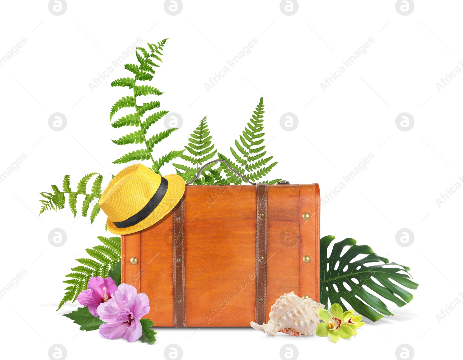 Image of Brown travel suitcase, hat, seashell, tropical leaves and flowers on white background