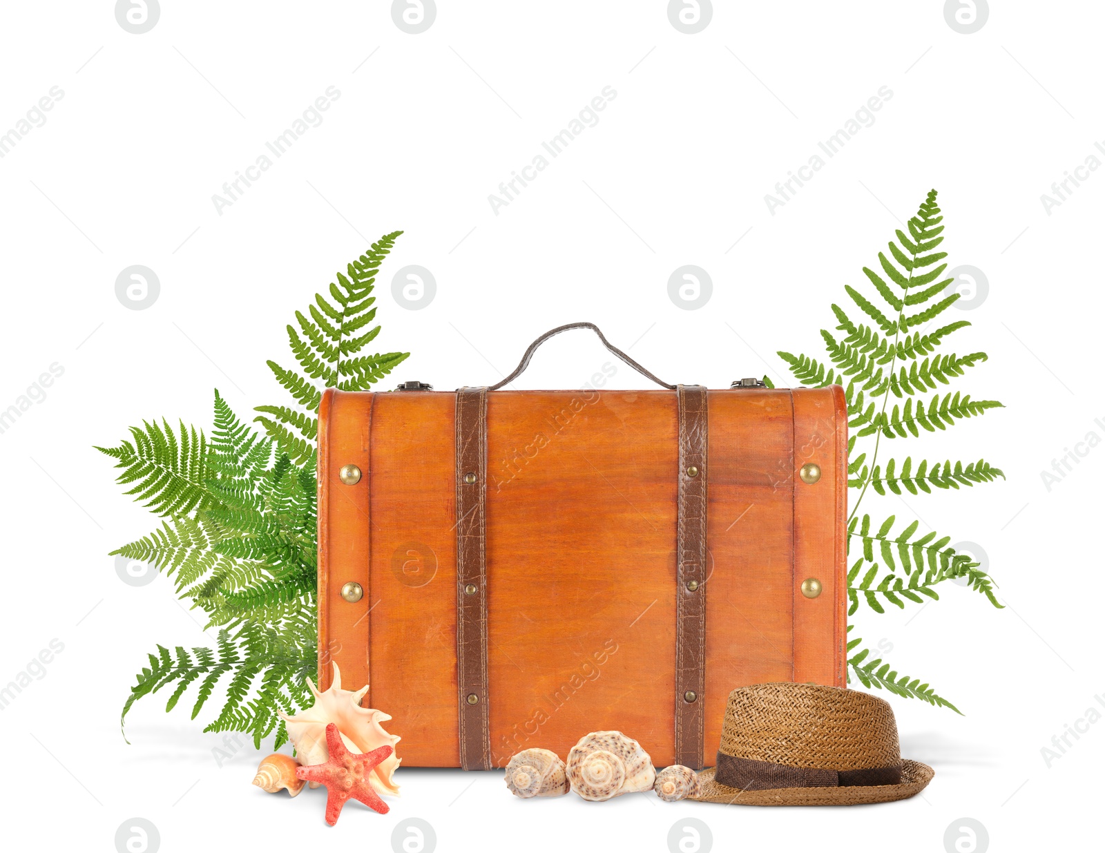 Image of Brown travel suitcase, tropical leaves, hat, sea star and seashells on white background