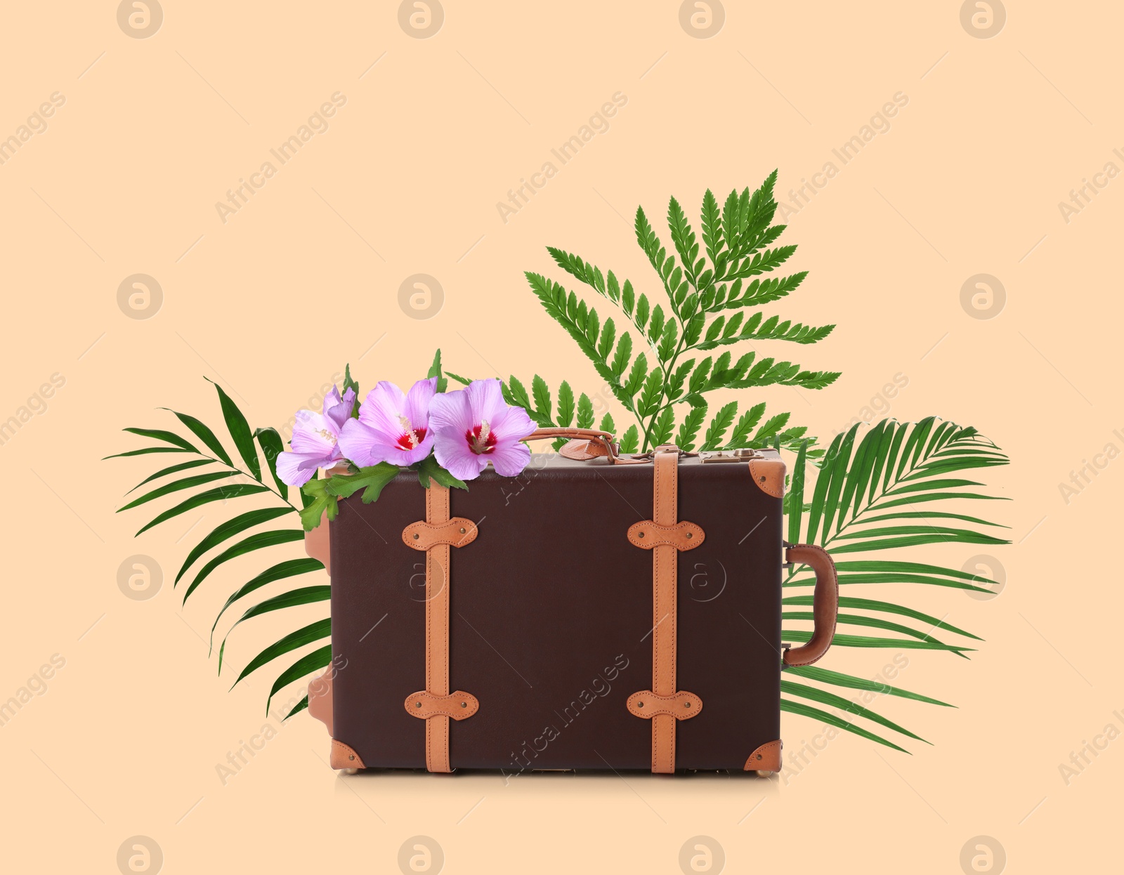 Image of Leather travel suitcase, tropical leaves and flowers on pink beige background