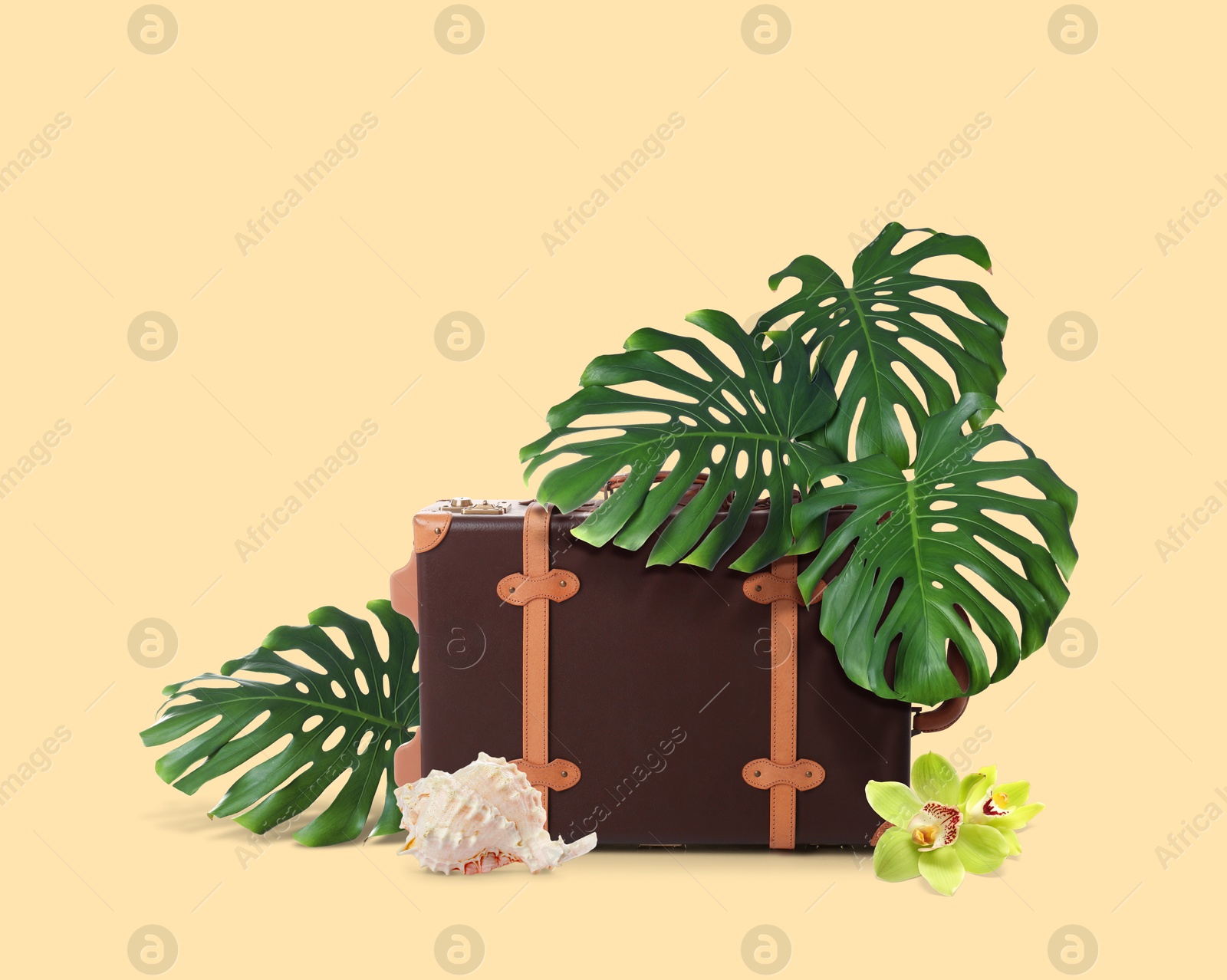 Image of Leather travel suitcase, seashell, tropical leaves and flowers on beige background