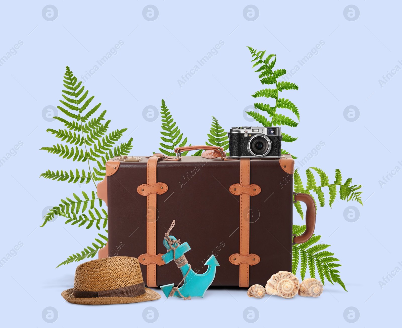 Image of Leather travel suitcase, toy anchor, camera, hat, seashells and tropical leaves on light blue background