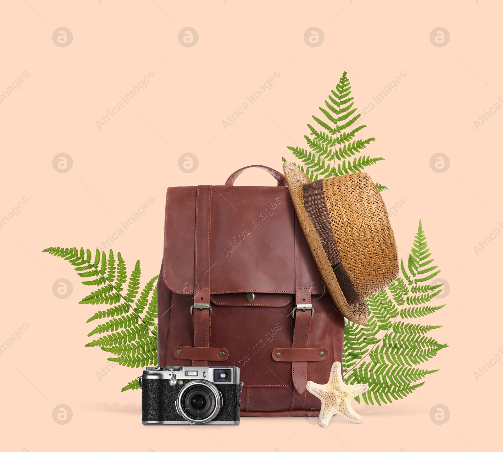 Image of Leather backpack, tropical leaves, hat, sea star and camera on pink beige background. Time to travel