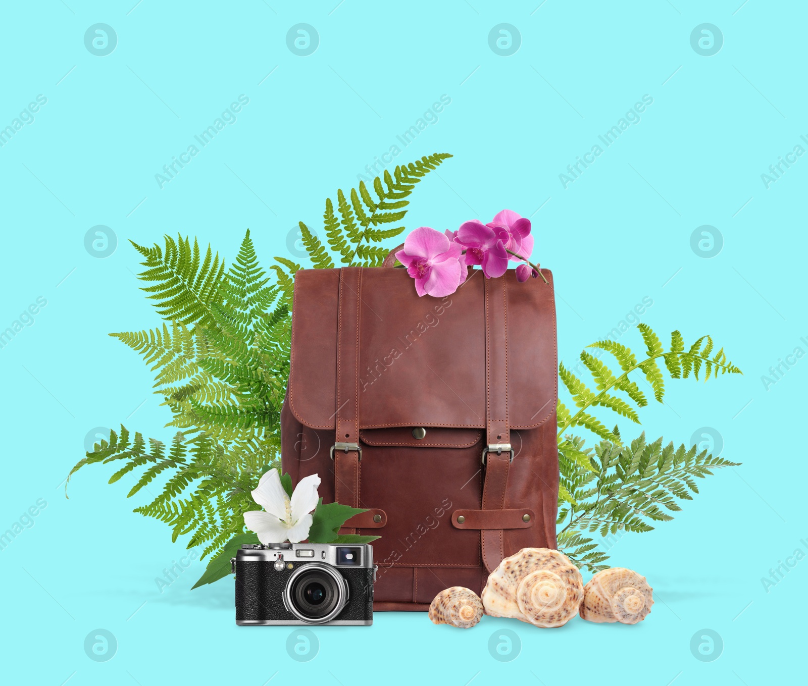 Image of Leather backpack, seashells, camera, tropical leaves and flowers on turquoise background. Time to travel