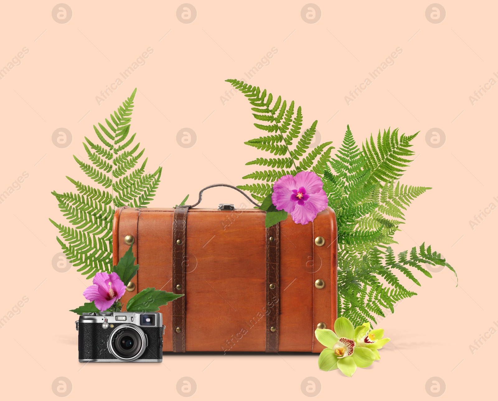 Image of Brown travel suitcase, camera, tropical leaves and flowers on pink beige background