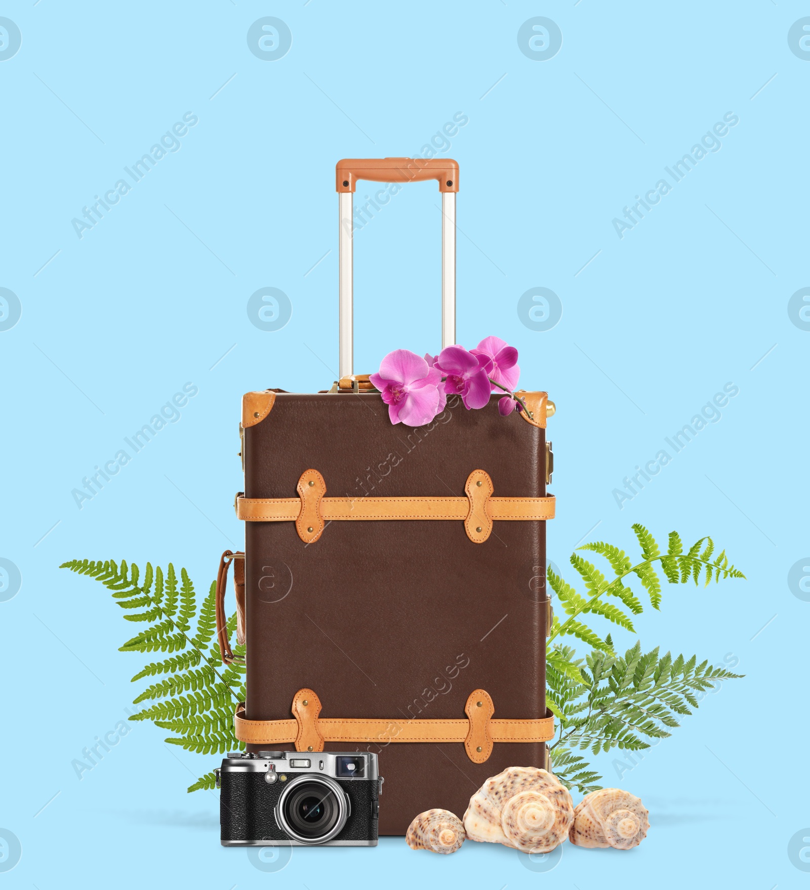 Image of Brown travel suitcase, seashells, camera, tropical leaves and flowers on light blue background