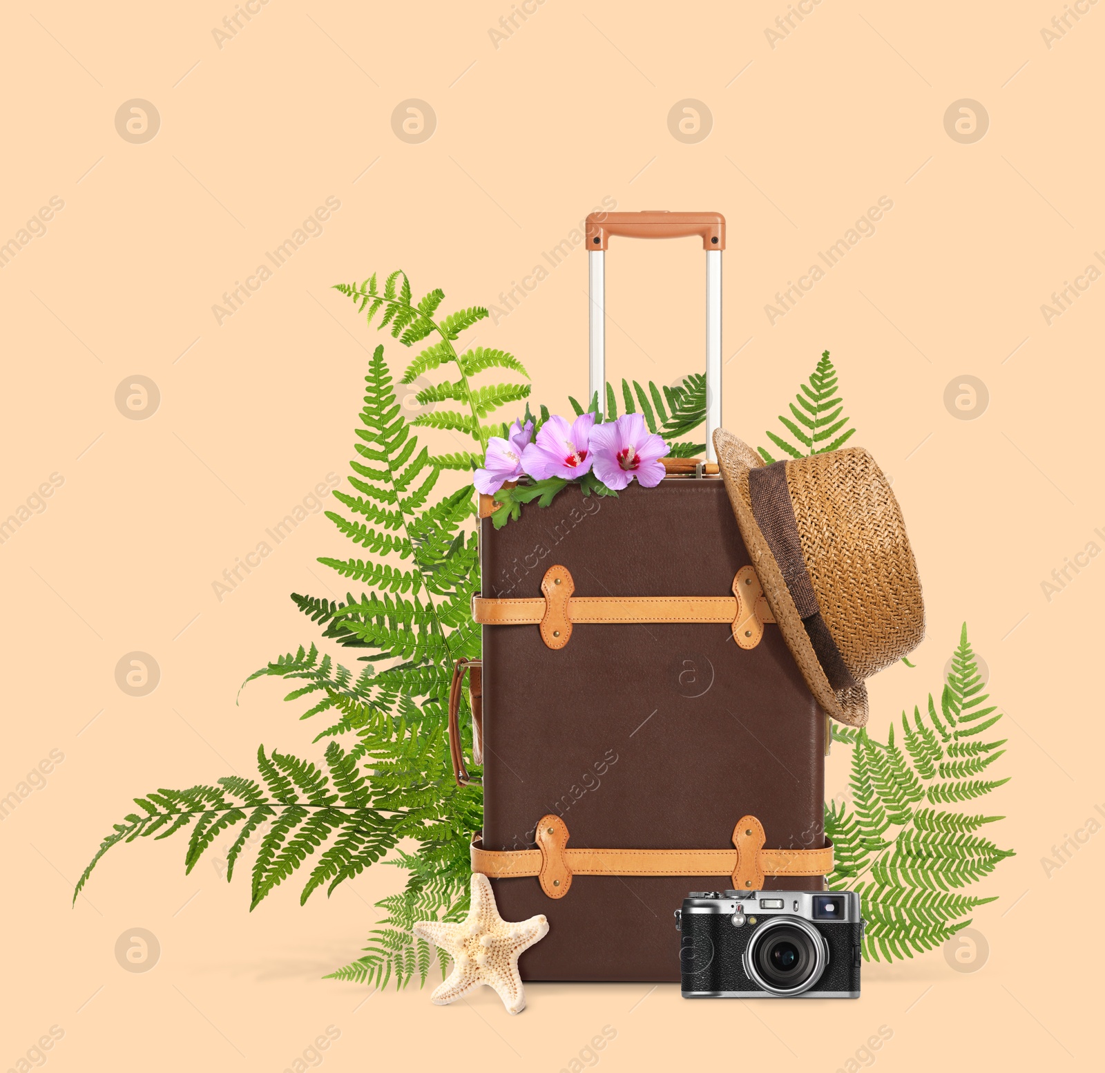 Image of Brown travel suitcase, hat, camera, sea star, tropical leaves and flowers on pink beige background