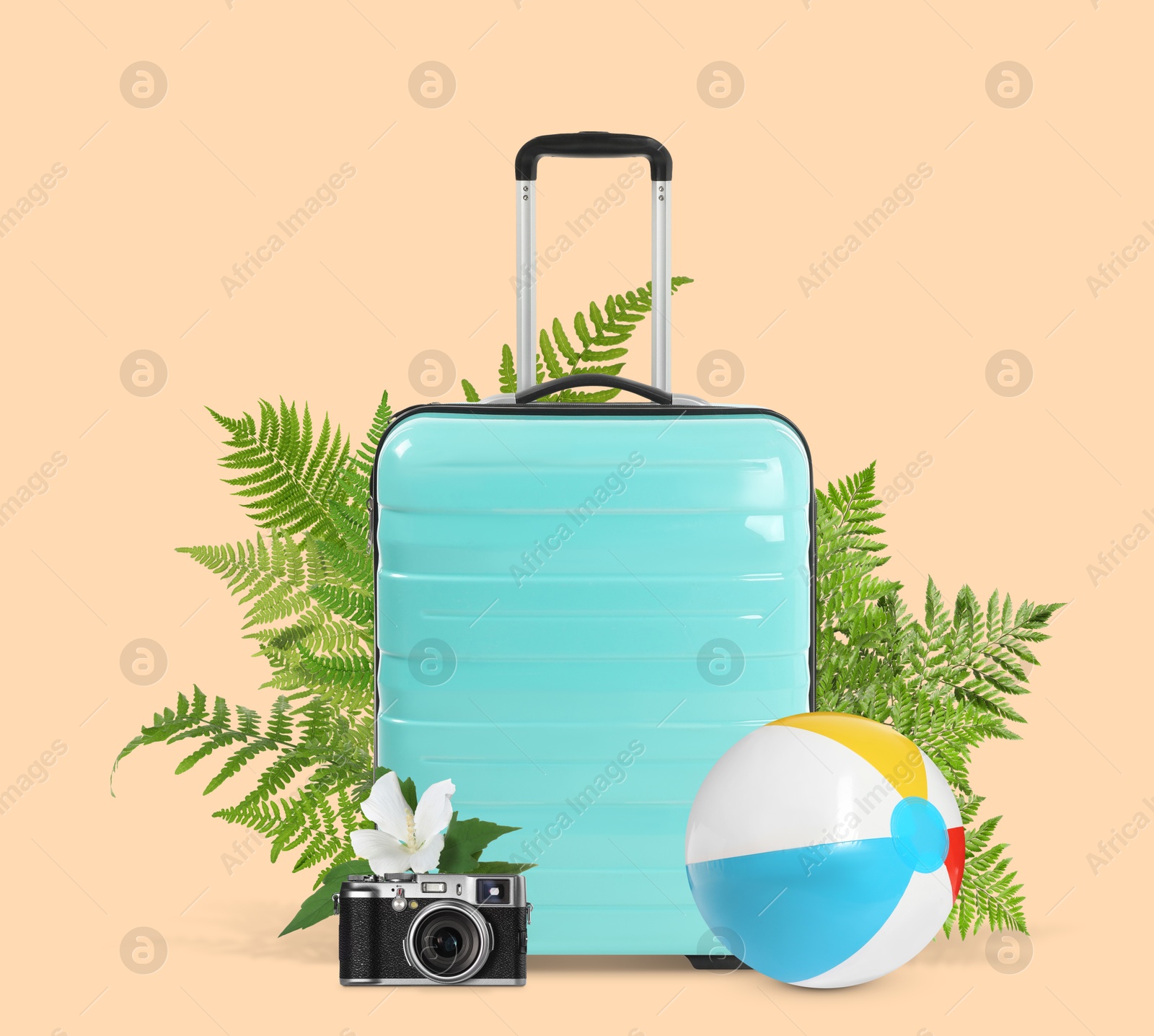 Image of Turquoise travel suitcase, camera, beach ball, tropical leaves and flower on pink beige background