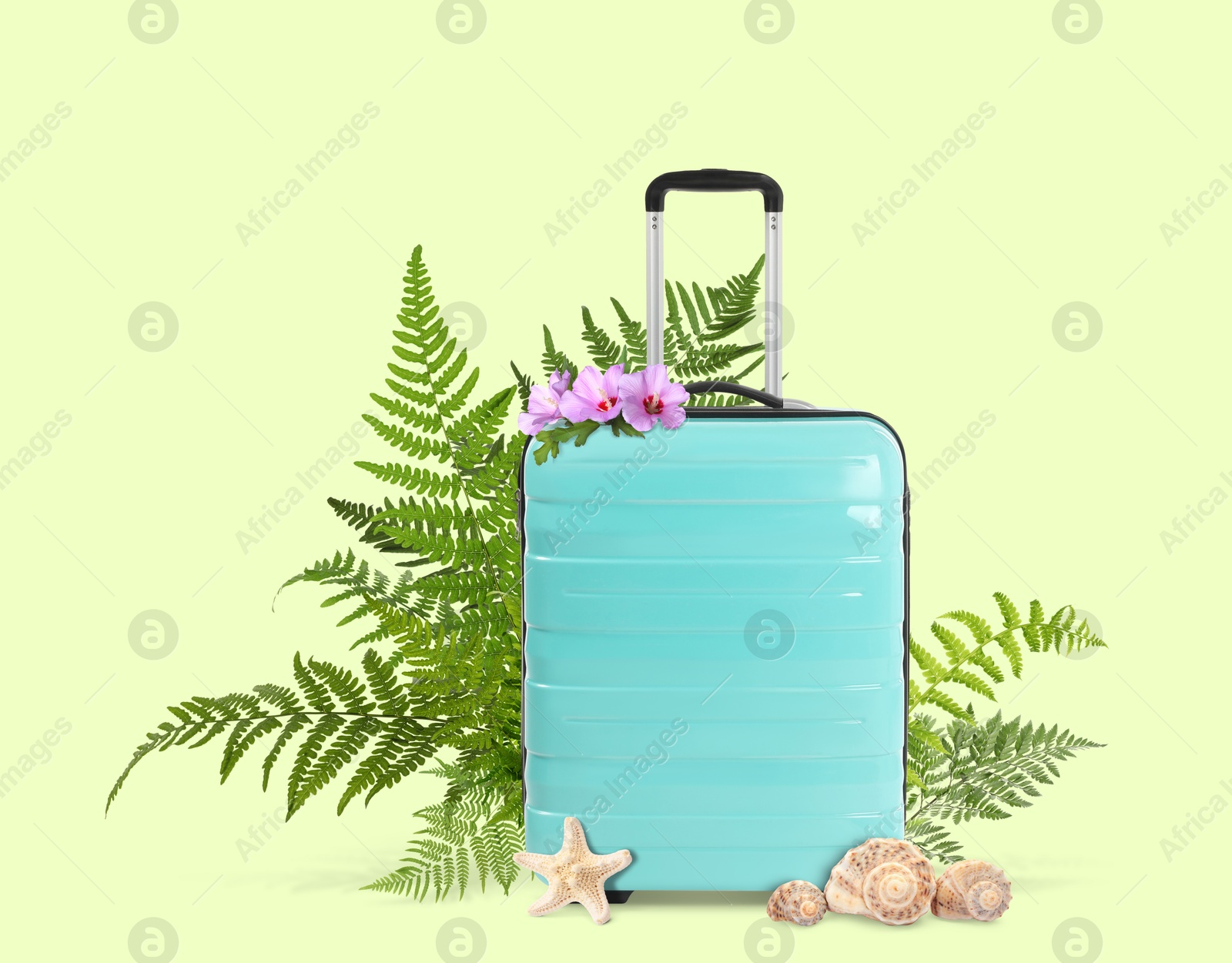 Image of Turquoise travel suitcase, seashells, sea star, tropical leaves and flowers on light green background