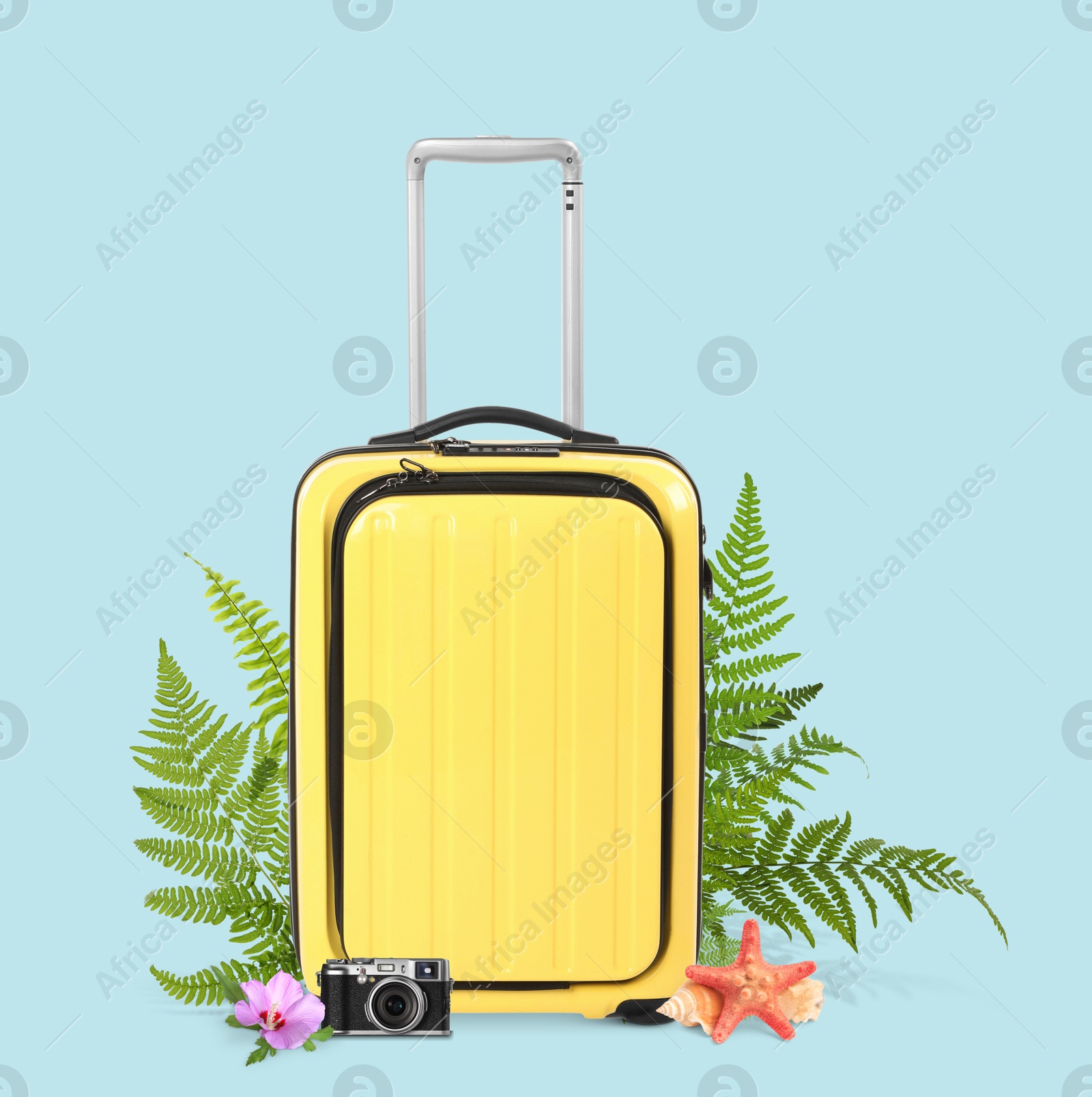 Image of Yellow travel suitcase, camera, sea star, seashell, tropical leaves and flower on light blue background