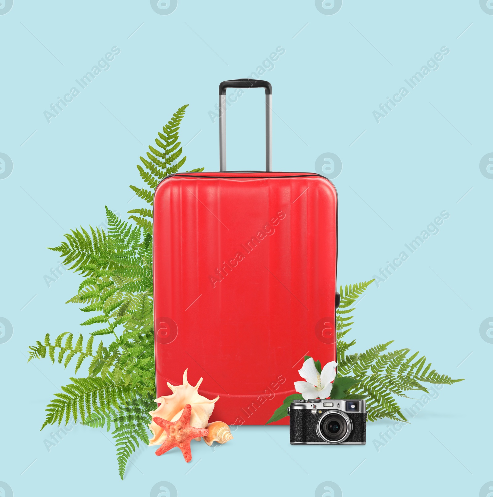 Image of Red travel suitcase, camera, sea star, seashells, tropical leaves and flower on light blue background