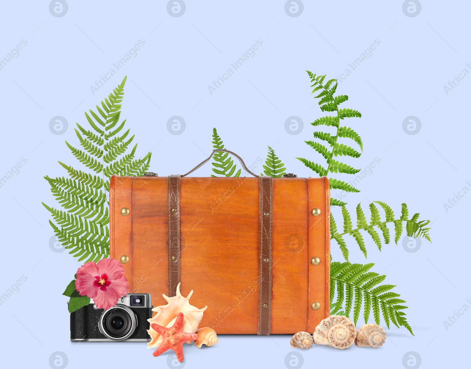 Image of Brown travel suitcase, camera, seashells, sea star, tropical leaves and flower on light violet blue background