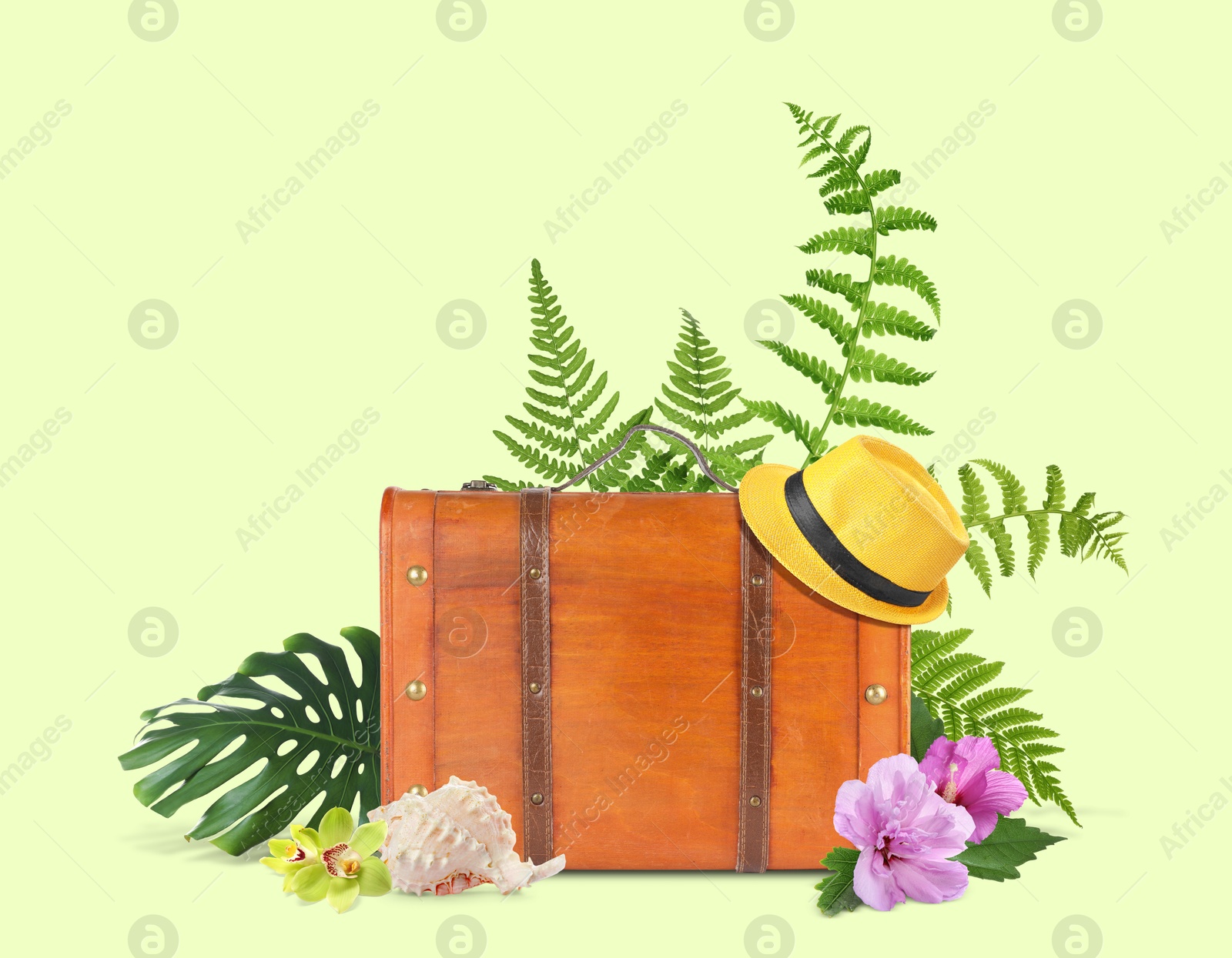 Image of Brown travel suitcase, hat, seashell, tropical leaves and flowers on light green background