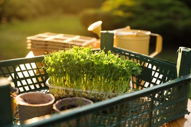 Photo of Different potted seedlings on wooden table outdoors