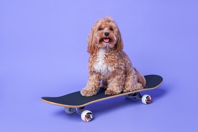 Photo of Cute Maltipoo dog on skateboard against purple background