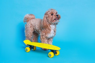 Photo of Cute Maltipoo dog with mini penny board against light blue background