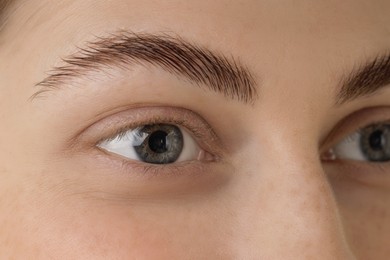 Photo of Young woman with beautiful eyes and brows, closeup