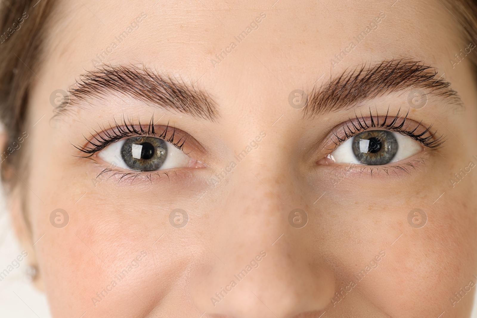 Photo of Beautiful woman after lash laminating and tinting procedure on light background, closeup