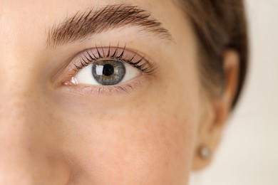 Photo of Beautiful woman after lash laminating and tinting procedure on light background, closeup