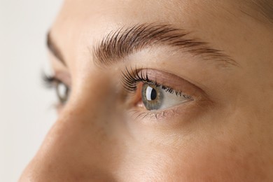 Photo of Beautiful woman after lash laminating and tinting procedure on light background, closeup