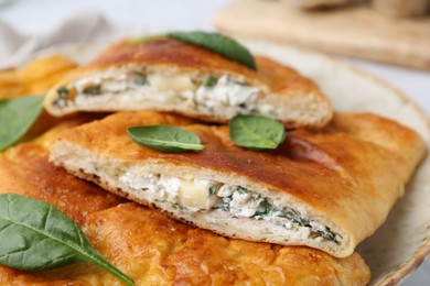 Photo of Pieces of tasty calzone with basil and cheese on plate, closeup