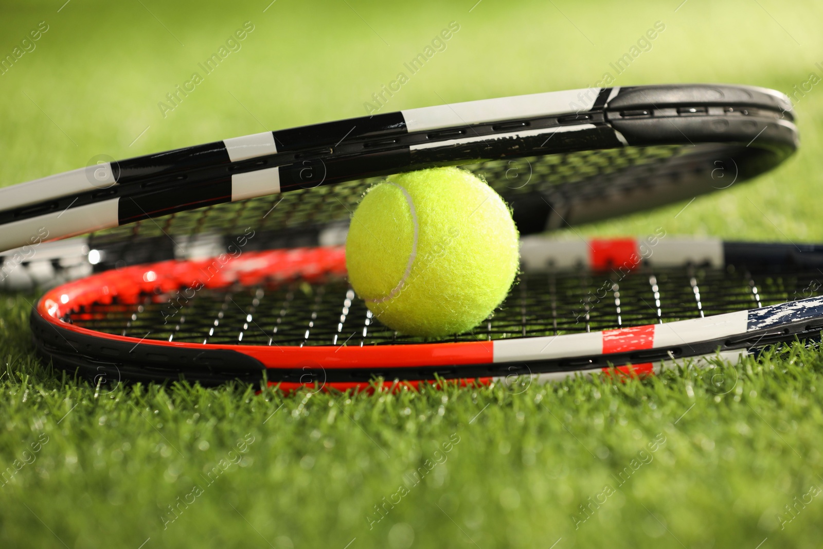 Photo of Tennis rackets and ball on green artificial grass, closeup