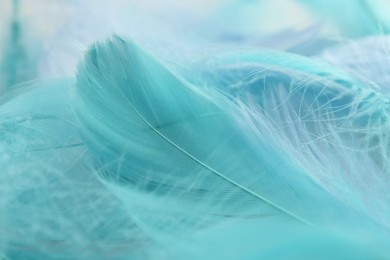 Photo of Many beautiful feathers as background, closeup view