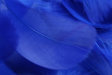 Beautiful blue feathers as background, closeup view