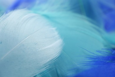 Photo of Many beautiful feathers as background, closeup view