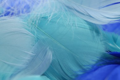 Photo of Many beautiful feathers as background, closeup view