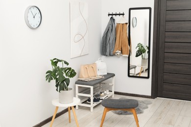 Mirror, houseplant and bench in stylish hallway