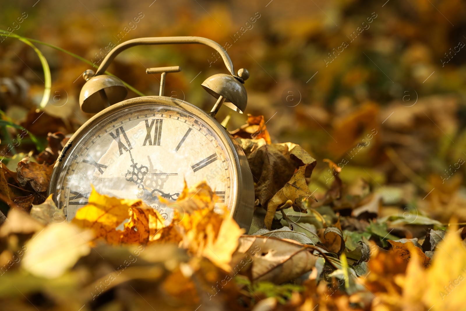 Photo of Autumn time. Vintage clock on fallen leaves in park, closeup with space for text