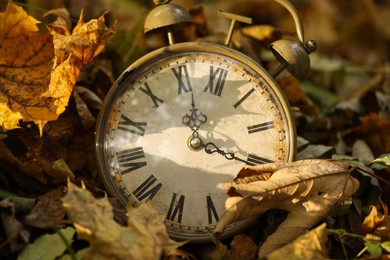 Photo of Autumn time. Vintage clock on fallen leaves in park, closeup