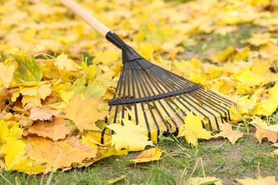 Photo of Gathering fallen leaves with fan rake outdoors, closeup