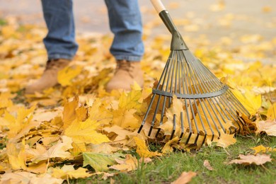 Photo of Man gathering fallen leaves with fan rake outdoors, closeup