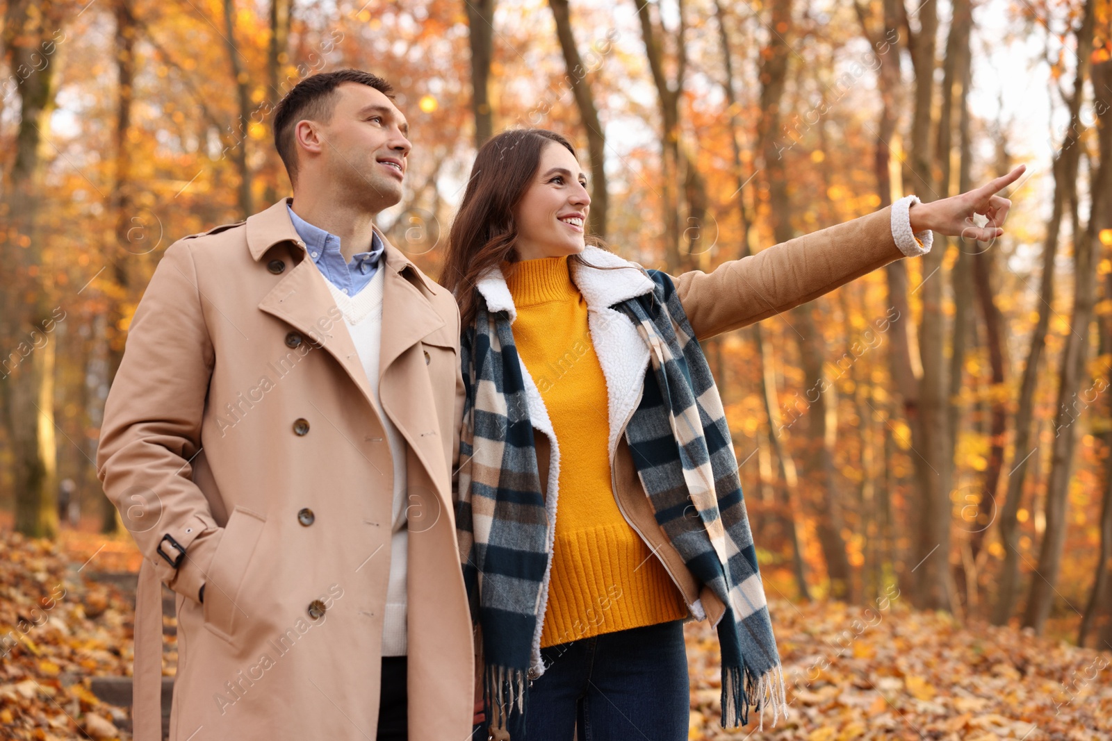 Photo of Happy couple spending time together in autumn park