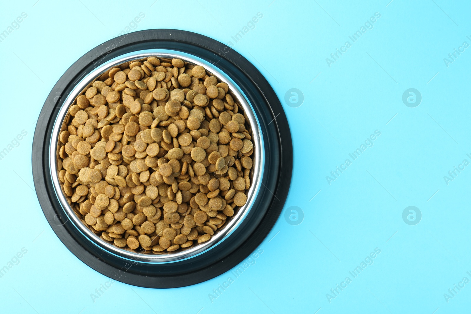 Photo of Dry pet food in feeding bowl on light blue background, top view. Space for text